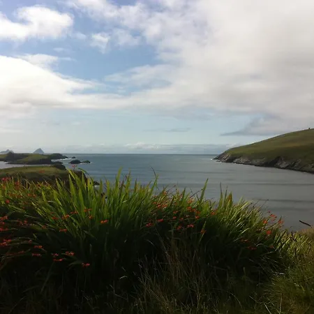 Bed & Breakfast Sea Breeze 3*